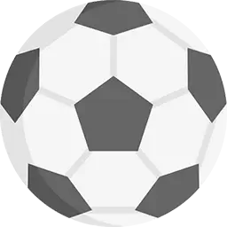 Category football
